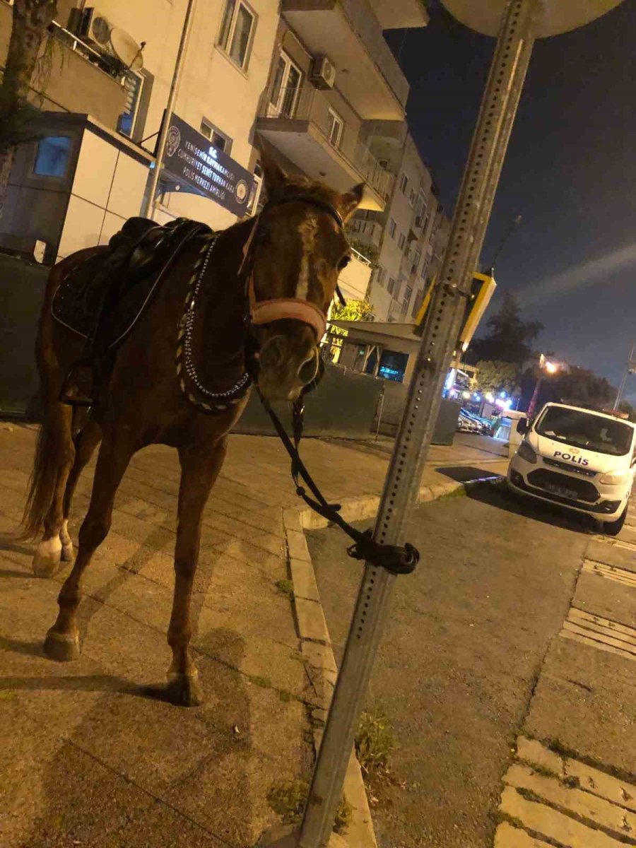 Atla Markete Giderken ’alkollü Araç Kullanmak’tan Ceza Yedi