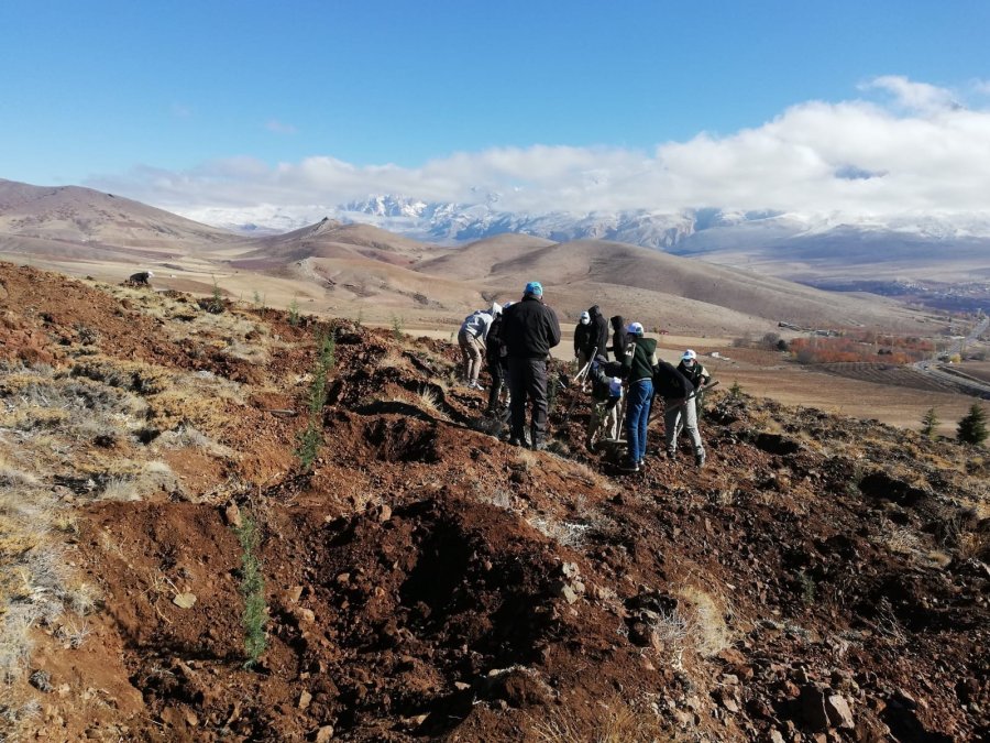 Çamardı’da 227 Hektarlık Alanda Ağaçlandırma Yapıldı