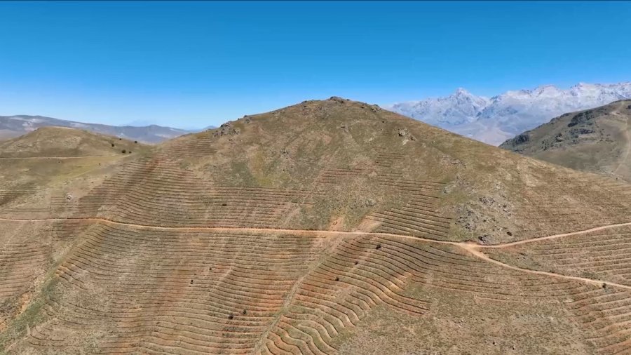 Çamardı’da 227 Hektarlık Alanda Ağaçlandırma Yapıldı