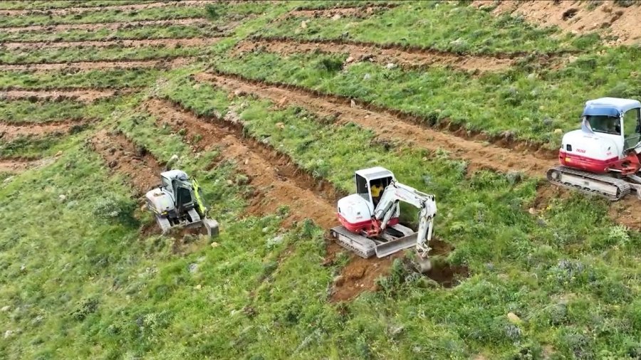 Çamardı’da 227 Hektarlık Alanda Ağaçlandırma Yapıldı