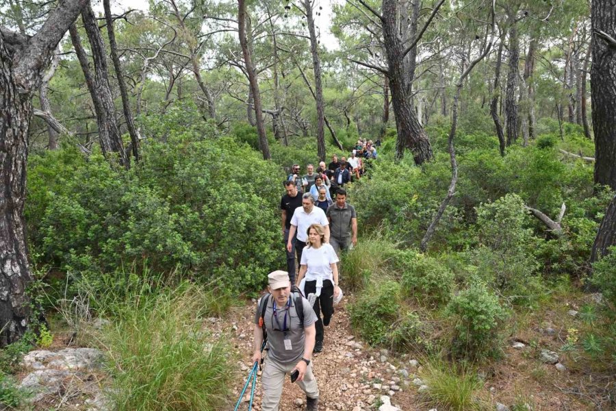 Antalya’nın Tarihi Yürüyüş Rotaları Yenileniyor