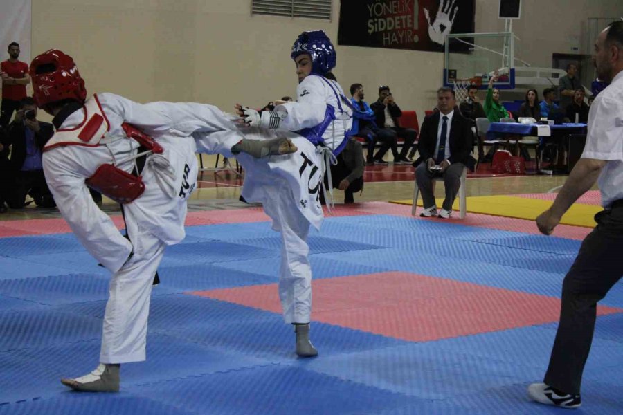 Erva Spor Okulları 2. Valilik Kupası Taekwondo Şampiyonası Yapıldı