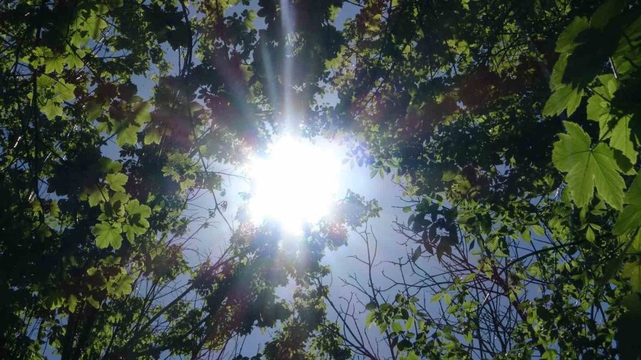 Konya’da Vatandaşlar Yağışlı Haftanın Sonunu Güneşli Havada Parklarda Değerlendirdi