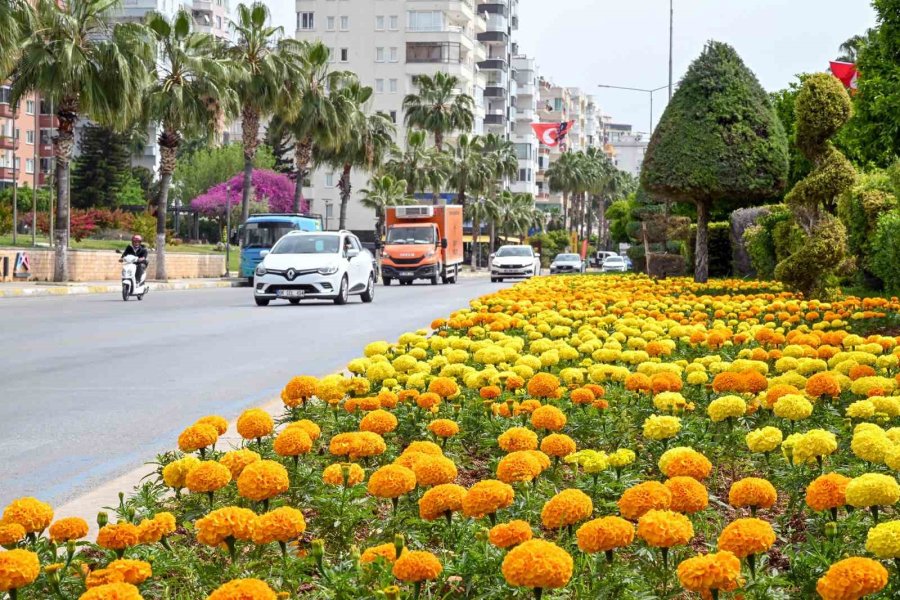 Mersin’in Estetiği Fidanlık Yerleşkesinden Sağlanıyor