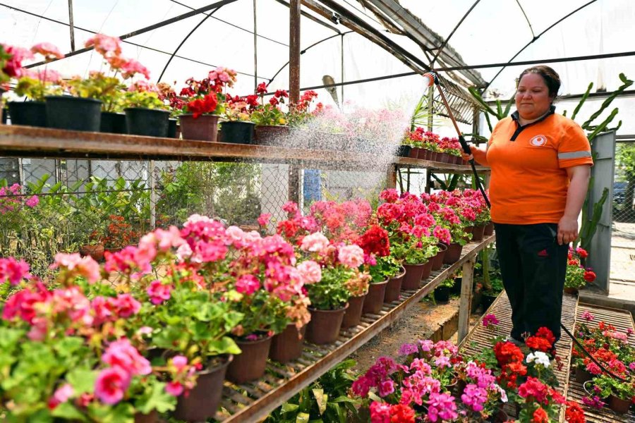 Mersin’in Estetiği Fidanlık Yerleşkesinden Sağlanıyor