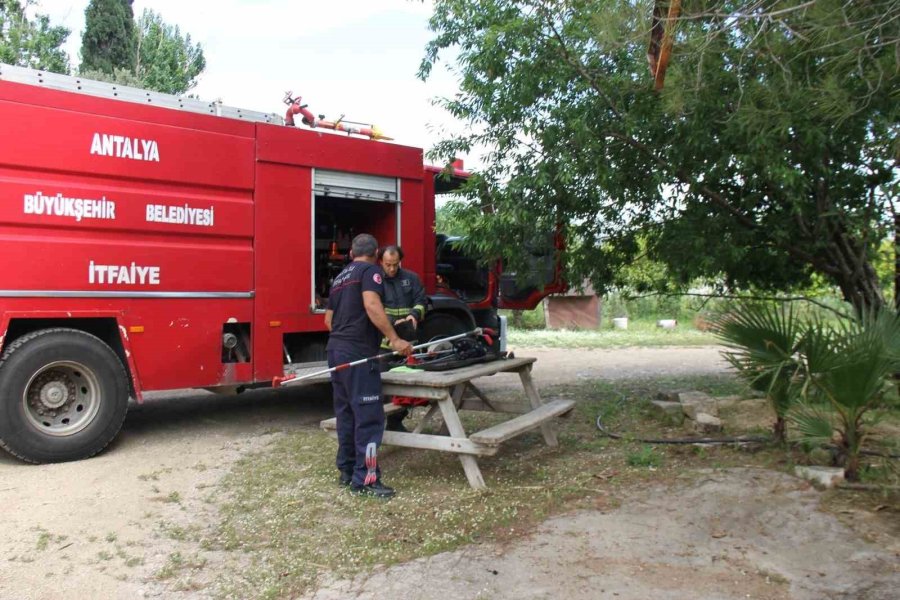 Serik’te Ağlara Dolanan Yılanı İtfaiye Kurtardı