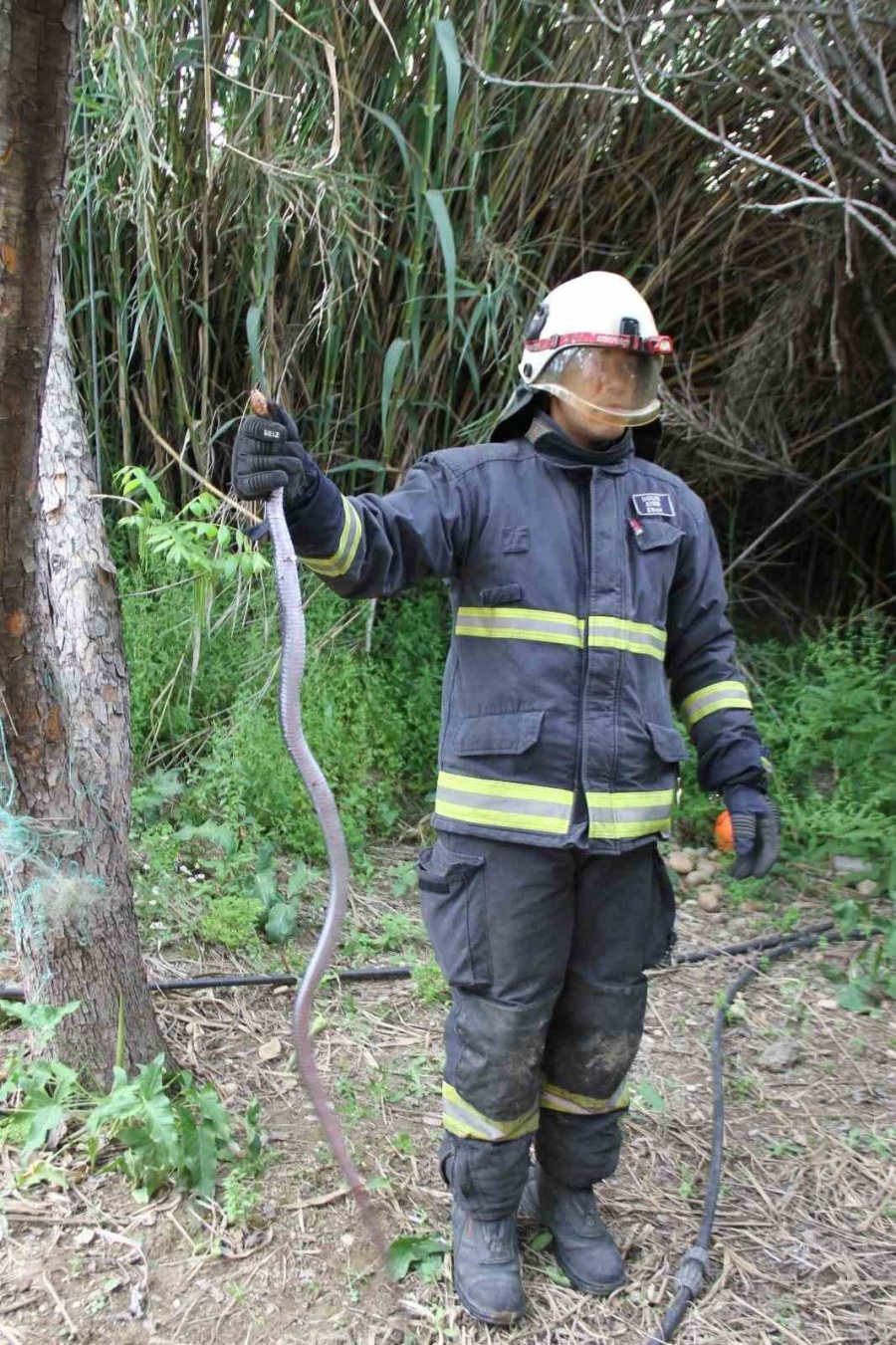 Serik’te Ağlara Dolanan Yılanı İtfaiye Kurtardı