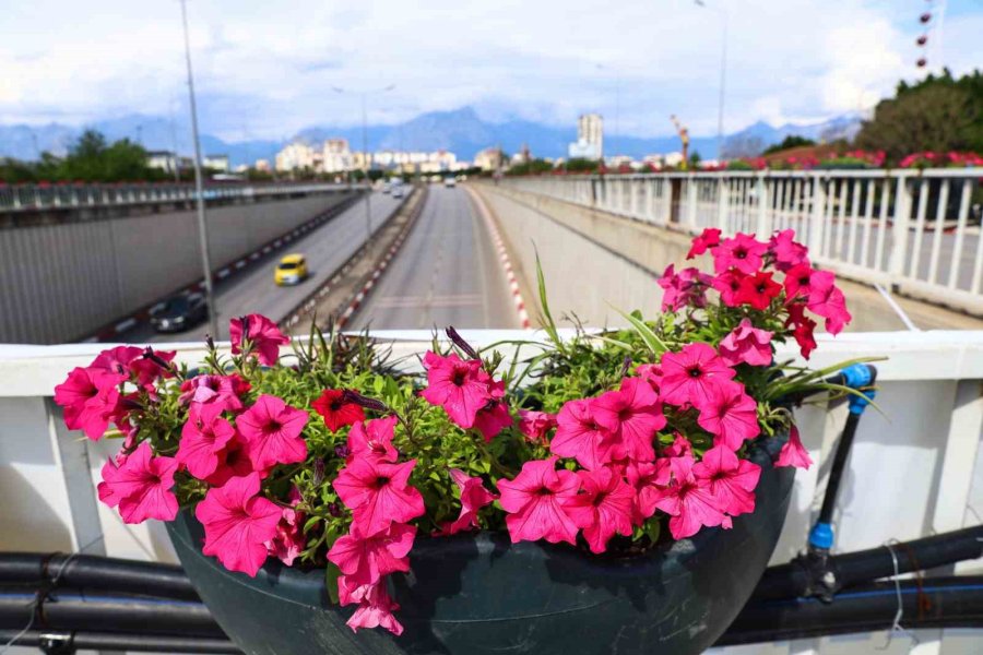 Antalya Yaz Renklerine Bürünüyor
