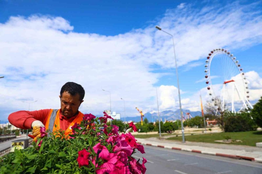 Antalya Yaz Renklerine Bürünüyor