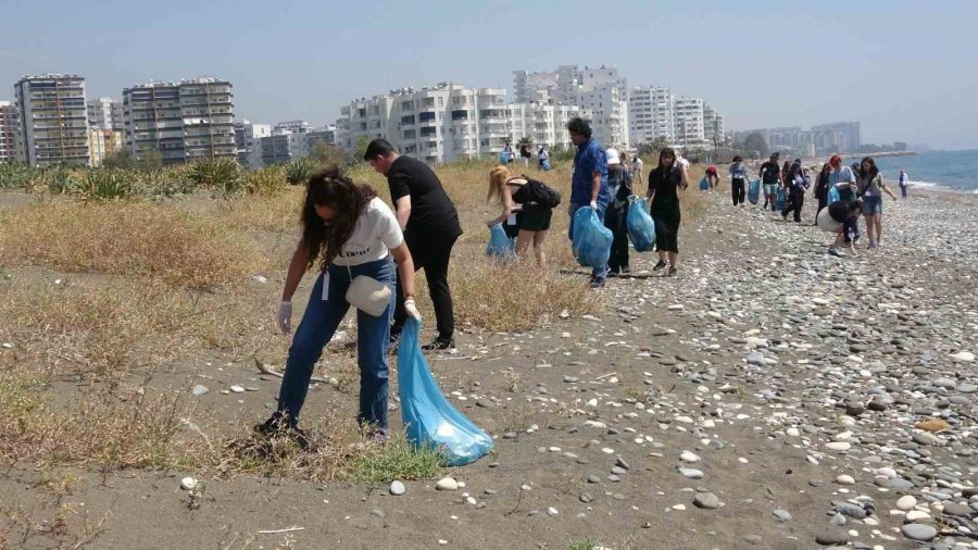 Caretta Carettaların Yuvalama Alanları Temizlendi