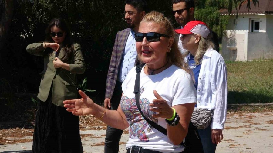 Caretta Carettaların Yuvalama Alanları Temizlendi