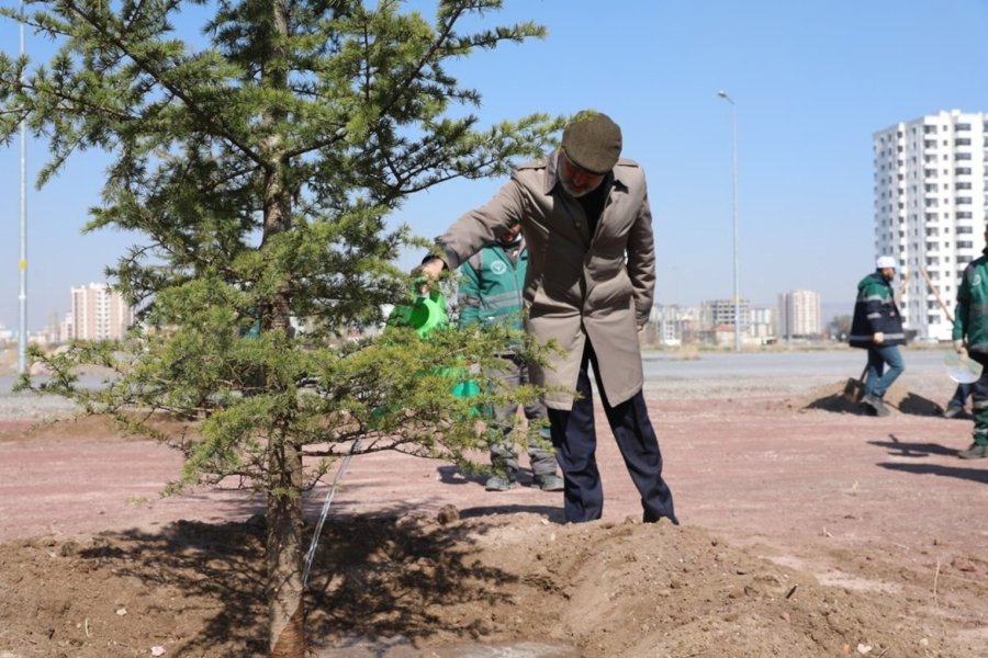Başkan Çolakbayrakdar: "kocasinan’ı Yeşille Donatıyoruz, Türkiye’ye Örnek Oluyoruz"