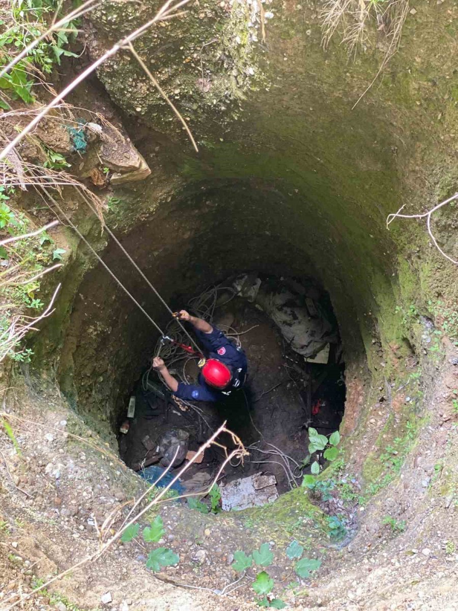 Antalya’da Kuyuya Düşen 7 Yavru Köpeği İtfaiye Kurtardı