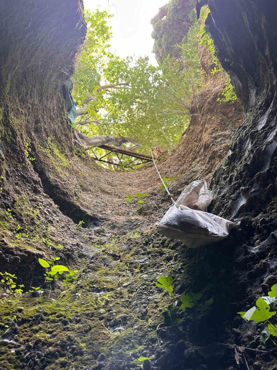 Antalya’da Kuyuya Düşen 7 Yavru Köpeği İtfaiye Kurtardı