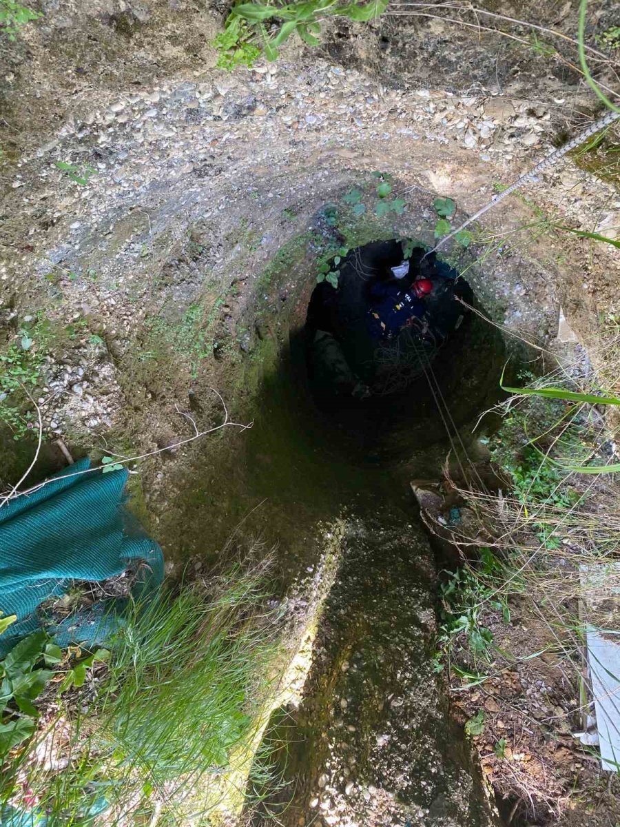 Antalya’da Kuyuya Düşen 7 Yavru Köpeği İtfaiye Kurtardı