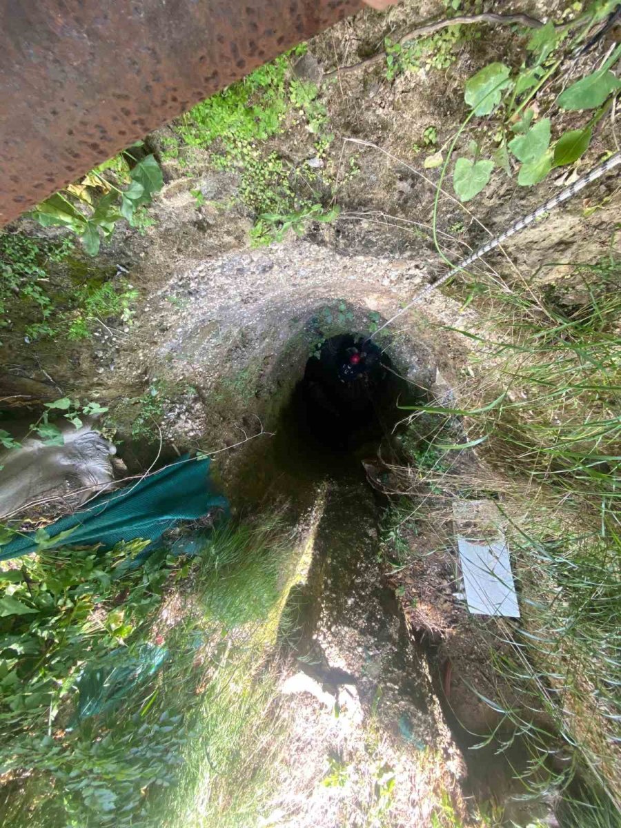 Antalya’da Kuyuya Düşen 7 Yavru Köpeği İtfaiye Kurtardı