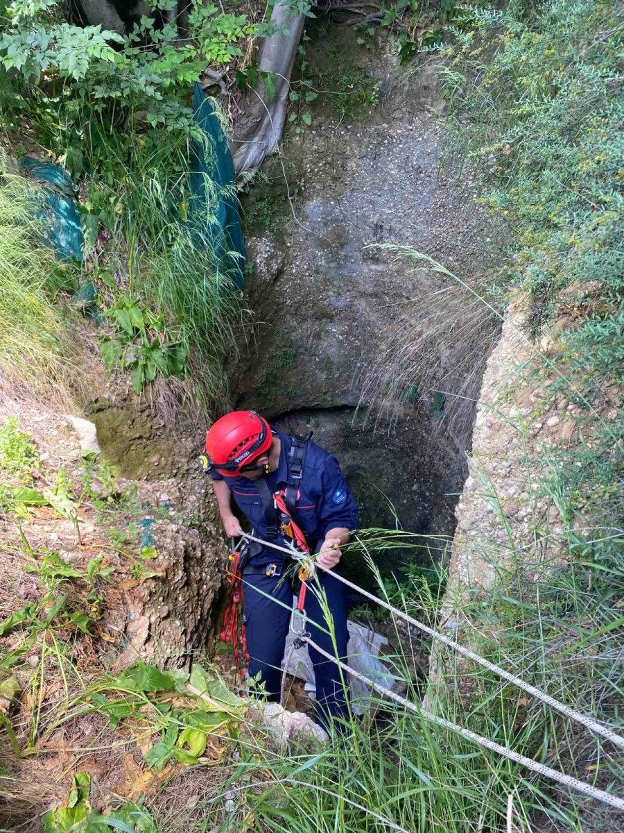 Antalya’da Kuyuya Düşen 7 Yavru Köpeği İtfaiye Kurtardı