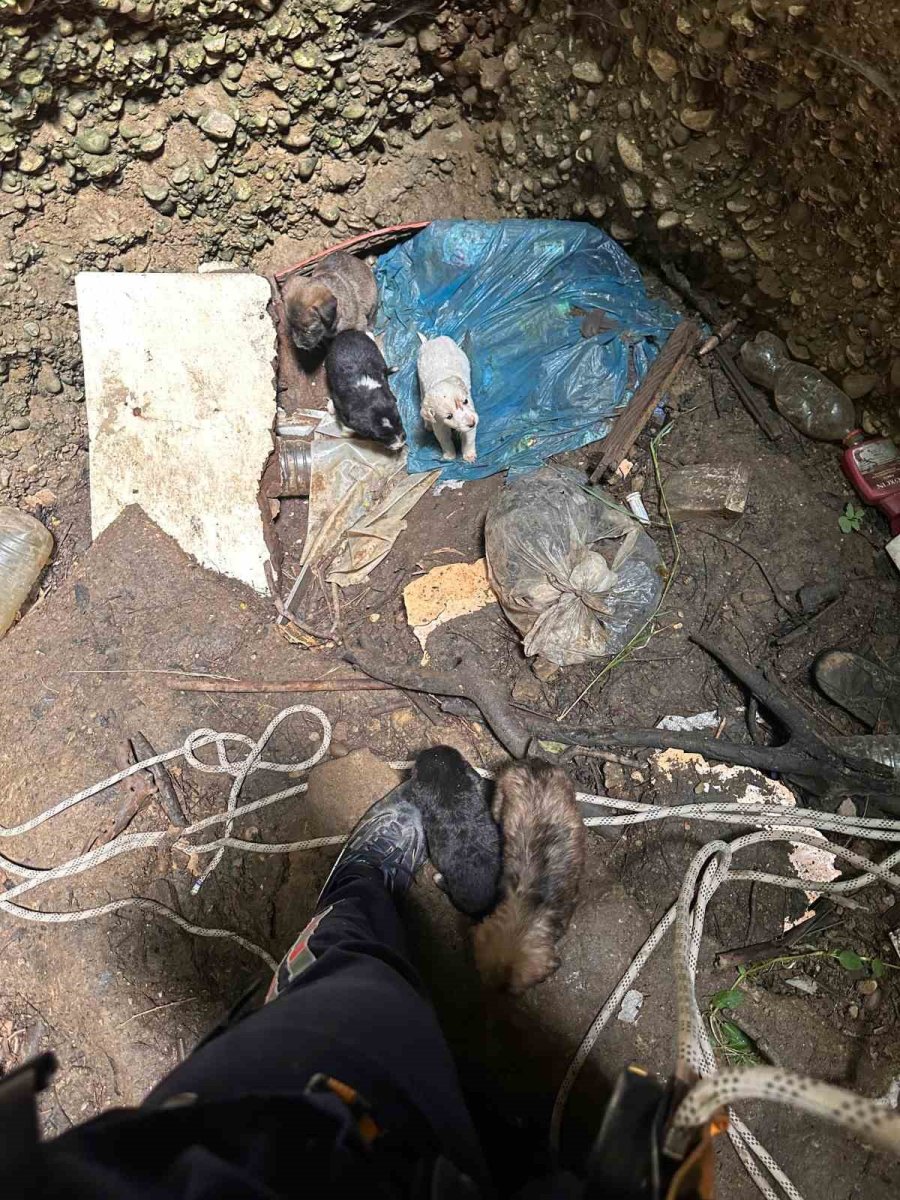 Antalya’da Kuyuya Düşen 7 Yavru Köpeği İtfaiye Kurtardı