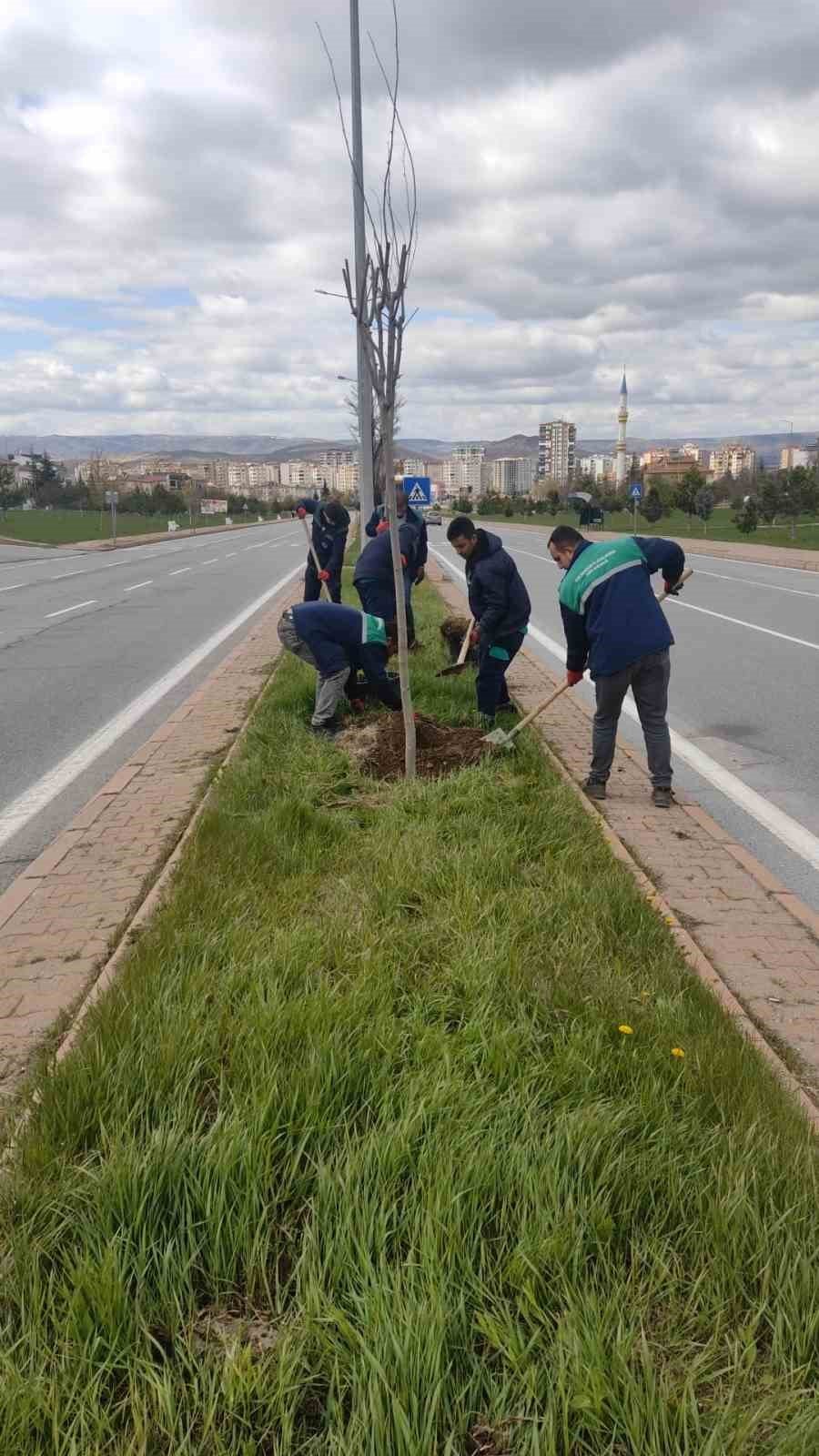 Kayseri, Daha Yeşil Ve Temiz Hale Geliyor