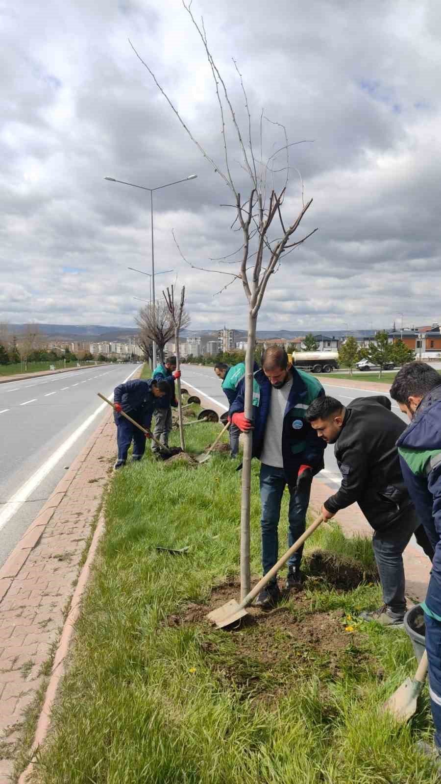 Kayseri, Daha Yeşil Ve Temiz Hale Geliyor
