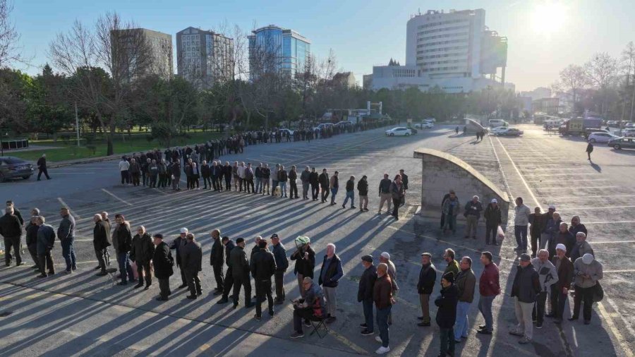 Bu Da Domates Fidesi Kuyruğu