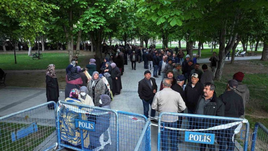 Bu Da Domates Fidesi Kuyruğu