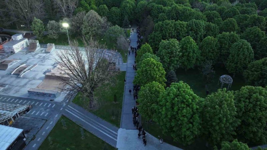 Bu Da Domates Fidesi Kuyruğu