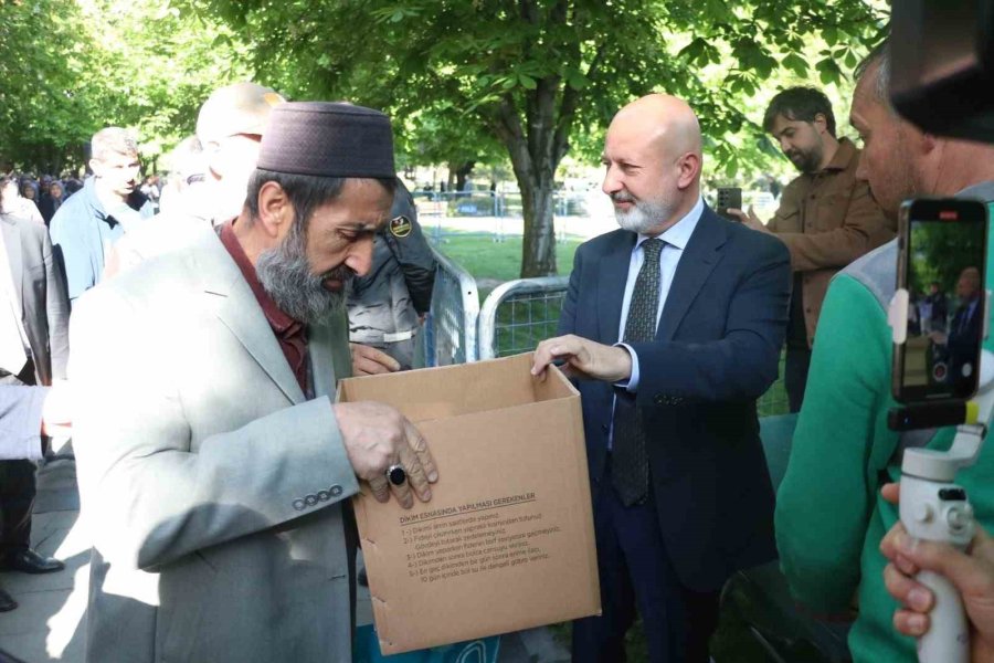 Bu Da Domates Fidesi Kuyruğu