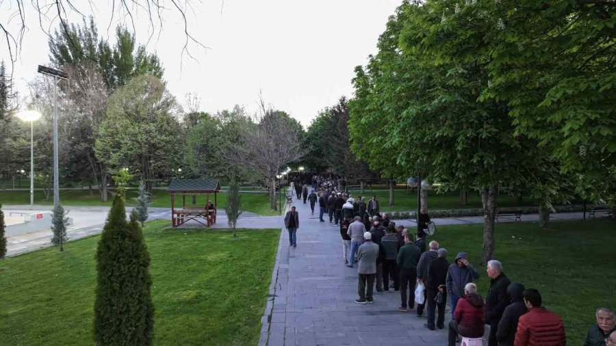 Bu Da Domates Fidesi Kuyruğu