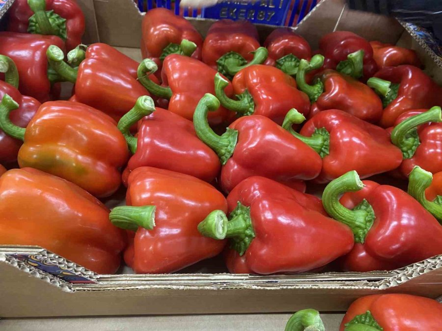 Tarım Antalya’yı İhracatta Sırtladı: Yaş Meyve Sebzede Yüzde 17,7 Artış