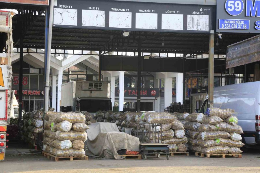 Tarım Antalya’yı İhracatta Sırtladı: Yaş Meyve Sebzede Yüzde 17,7 Artış