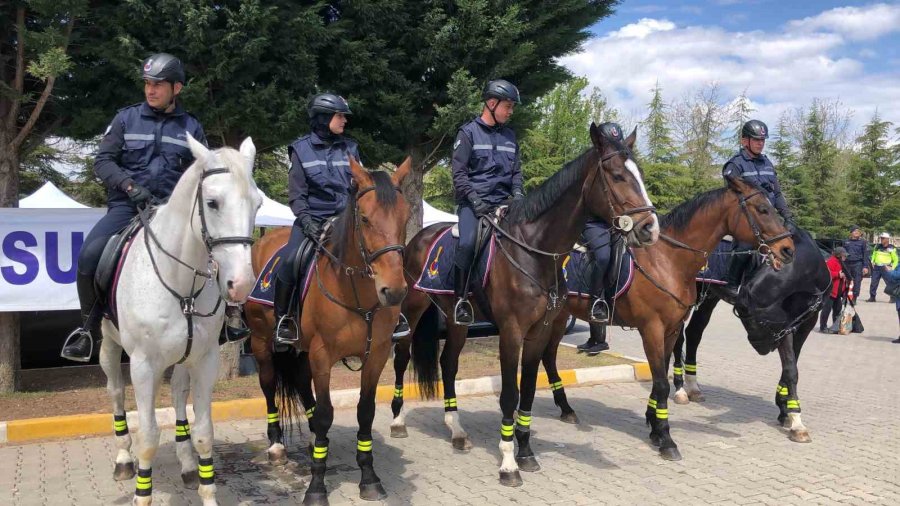Yunus’un Diyarına Gelen Atlı Jandarmalar, Vatandaşların İlgisini Topladı