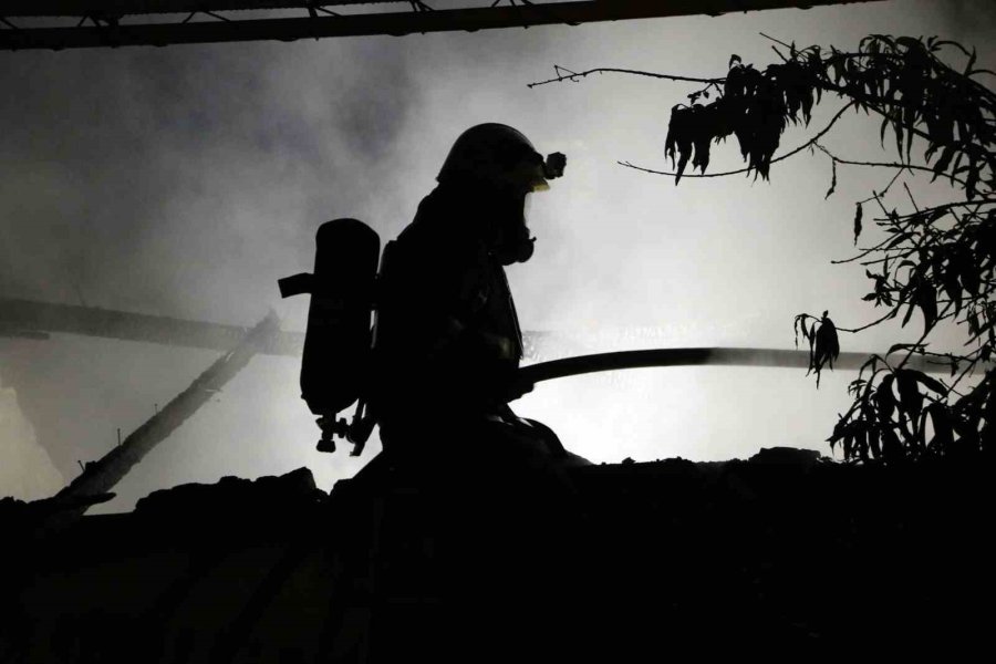 Gecekondu Alev Alev Yandı, Sokağa Dökülen Mahalleli Kediler İçin Gözyaşı Döktü