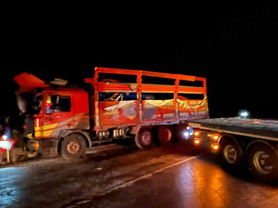 Antalya’da Karpuz Yüklü Kamyon Devrildi, Tonlarca Karpuz Yol Kenarına Savruldu