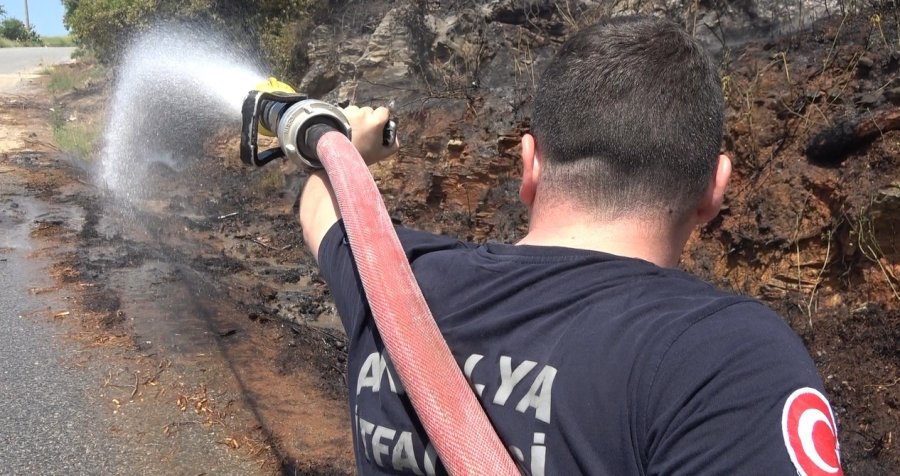 Alanya’da Makilik Alandaki Yangın Ormana Sıçramadan Söndürüldü