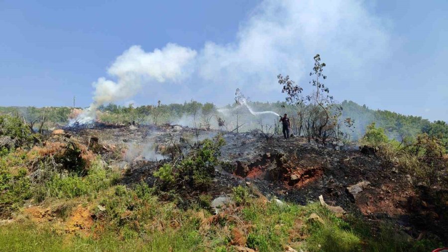 Alanya’da Makilik Alandaki Yangın Ormana Sıçramadan Söndürüldü