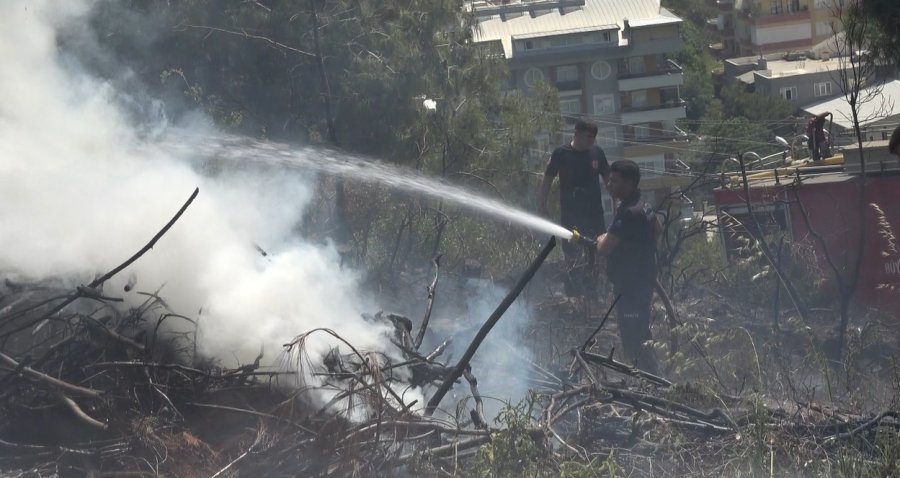 Alanya’da Makilik Alandaki Yangın Ormana Sıçramadan Söndürüldü