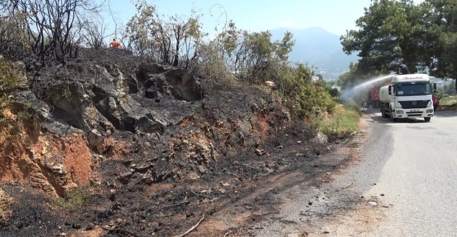 Alanya’da Makilik Alandaki Yangın Ormana Sıçramadan Söndürüldü