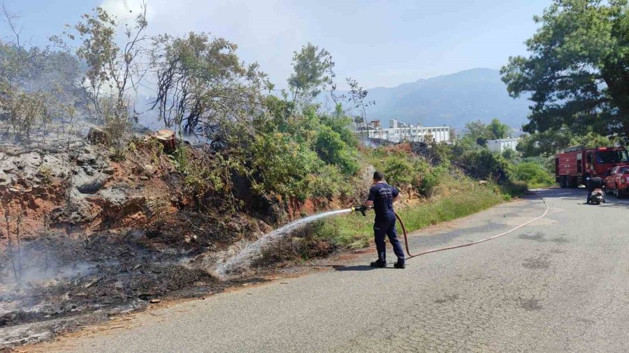 Alanya’da Makilik Alandaki Yangın Ormana Sıçramadan Söndürüldü