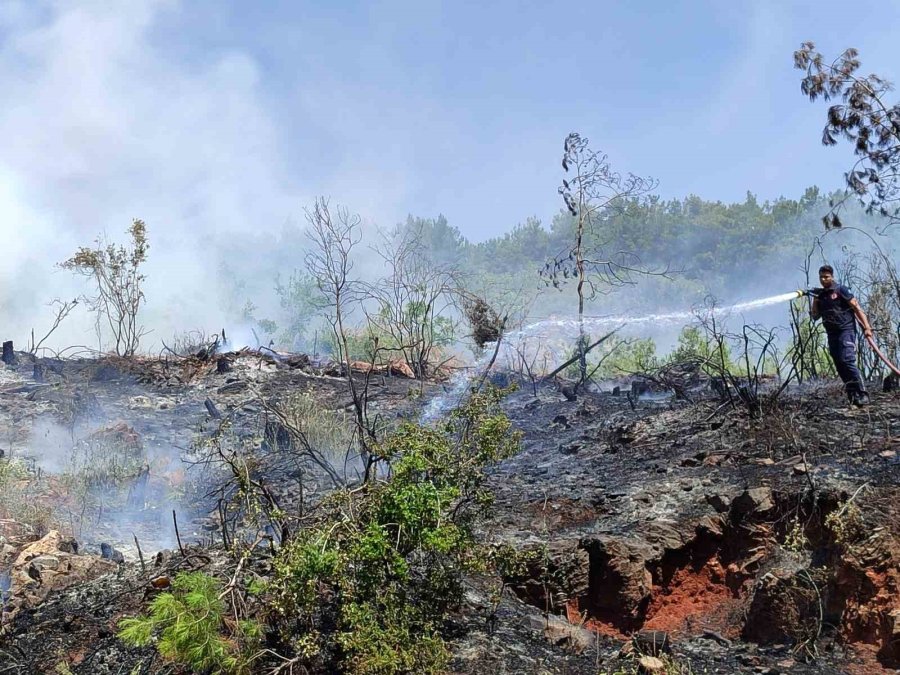 Alanya’da Makilik Alandaki Yangın Ormana Sıçramadan Söndürüldü