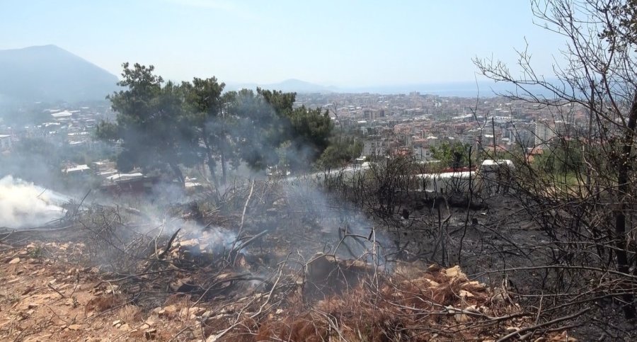 Alanya’da Makilik Alandaki Yangın Ormana Sıçramadan Söndürüldü
