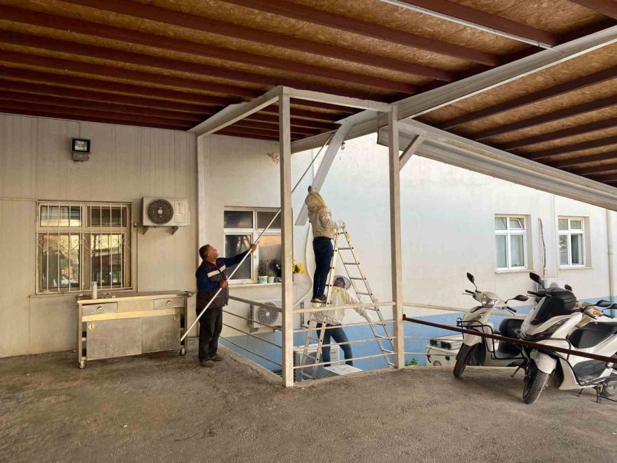 Antalya’da Hastane Bahçesinde Oğul Veren Arılar Toplandı