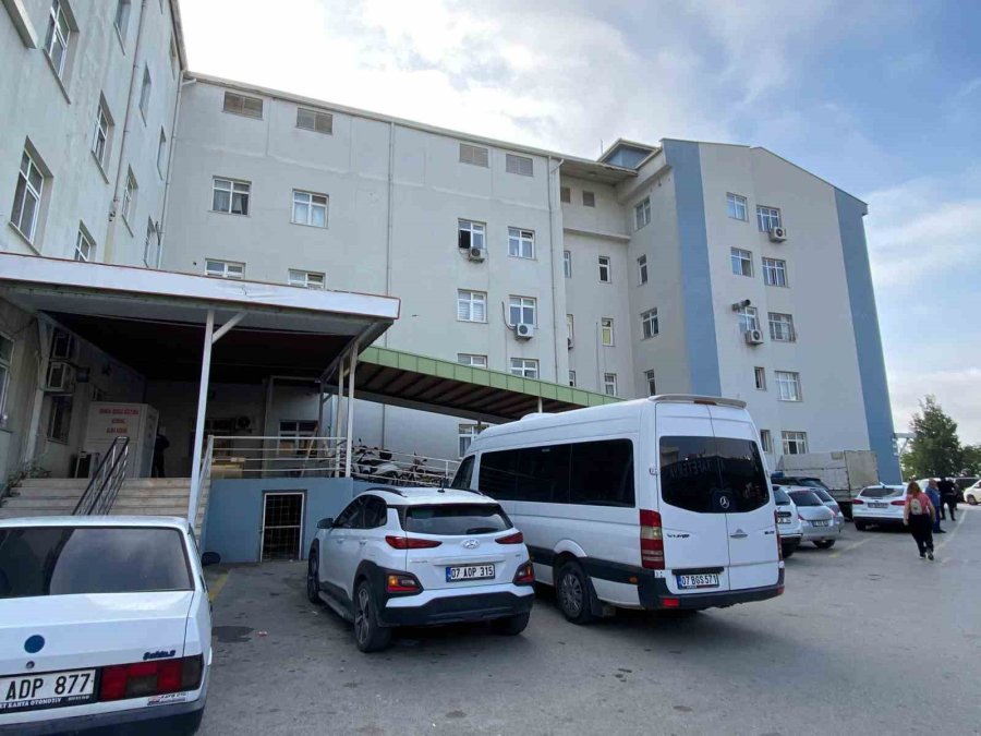 Antalya’da Hastane Bahçesinde Oğul Veren Arılar Toplandı