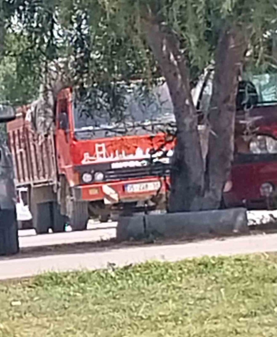 Kamyonette Çıkıp Çam Ağacına Sıçrayan Yangın Söndürüldü