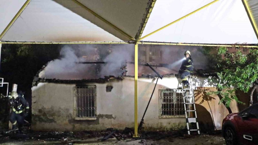 Gecekondu Alev Alev Yandı, Sokağa Dökülen Mahalleli Kediler İçin Gözyaşı Döktü