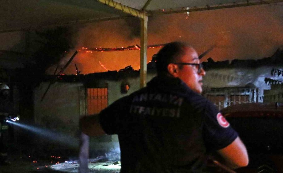 Gecekondu Alev Alev Yandı, Sokağa Dökülen Mahalleli Kediler İçin Gözyaşı Döktü