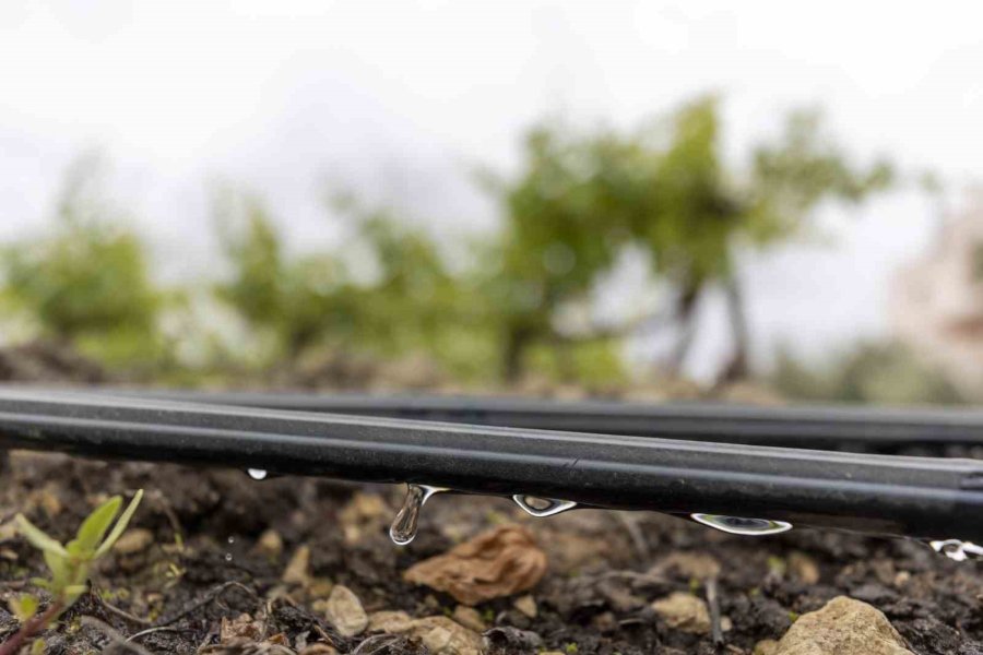 Mersin’de Üreticilere Damlama Sulama Sistemi Anlatılıyor