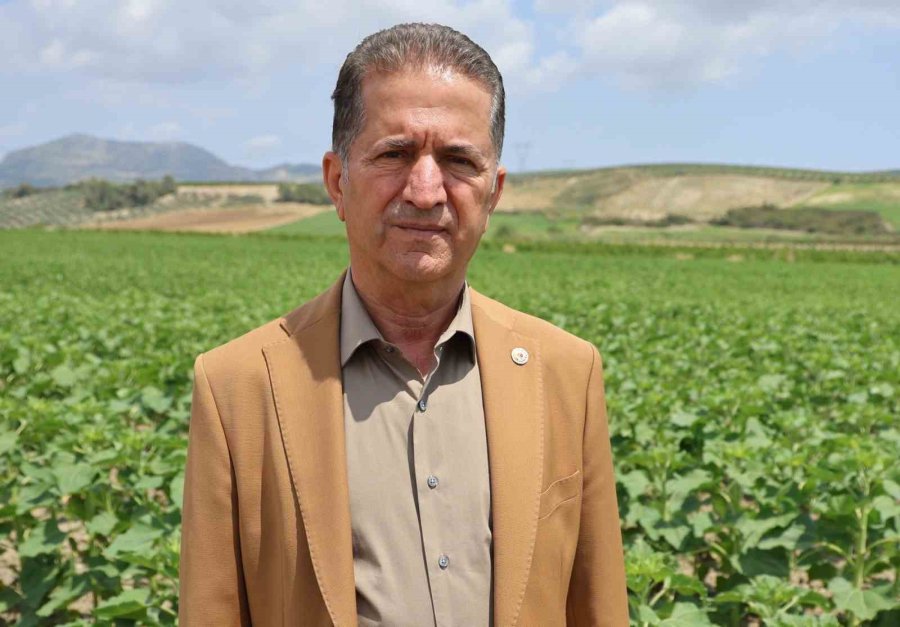 Hepsi Geri Gönderildi: Yurt Dışından Gelen 2 Bin Tondan Fazla Patates Virüslü Çıktı