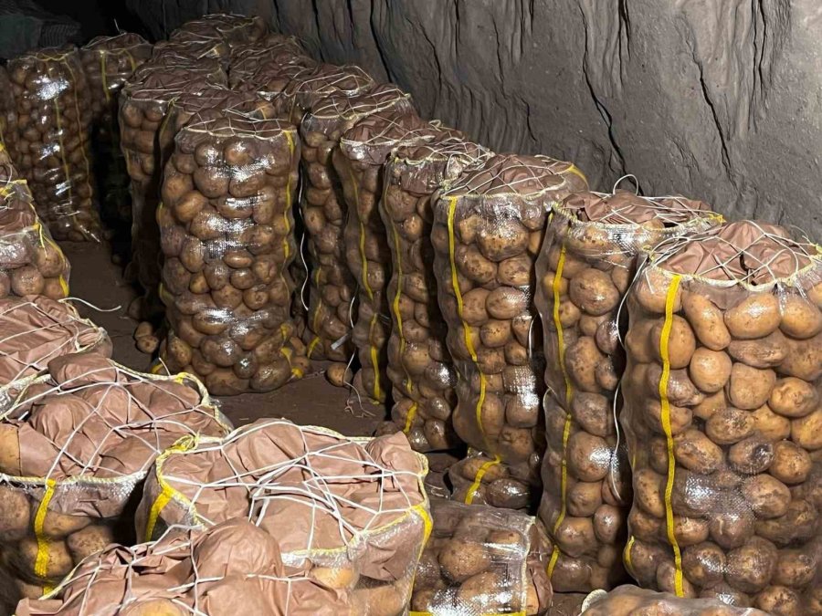Hepsi Geri Gönderildi: Yurt Dışından Gelen 2 Bin Tondan Fazla Patates Virüslü Çıktı