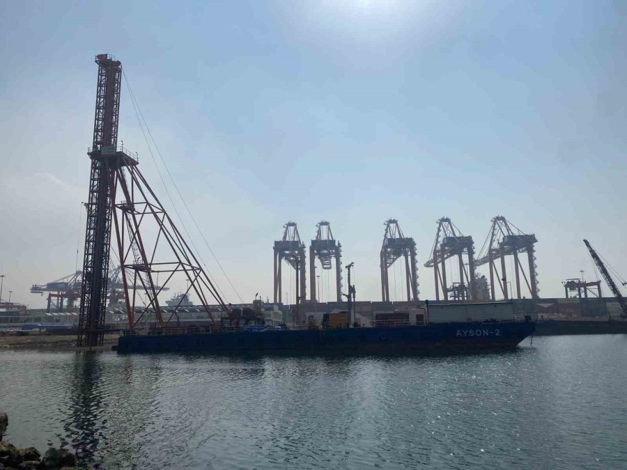 Hepsi Geri Gönderildi: Yurt Dışından Gelen 2 Bin Tondan Fazla Patates Virüslü Çıktı